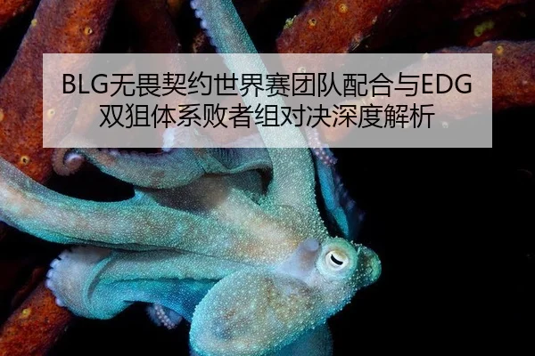 wu-wei-qi-yue-shi-jie-sai-tuan-dui-pei-he-yu-shuang-ju-ti-xi-bai-zhe-zu-dui-jue-shen-du-jie-xi-2-743.jpg