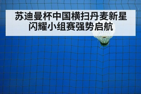 badminton court