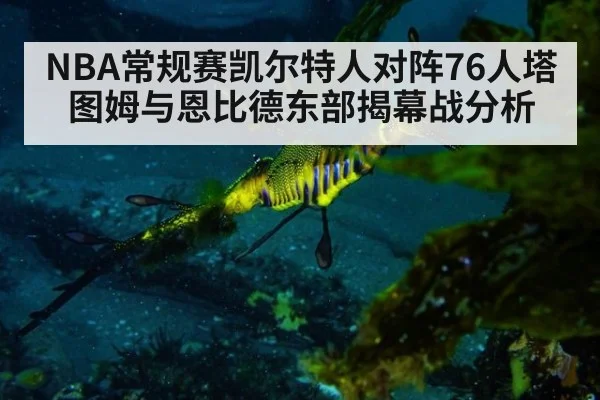 NBA常规赛凯尔特人对阵76人塔图姆与恩比德东部揭幕战分析